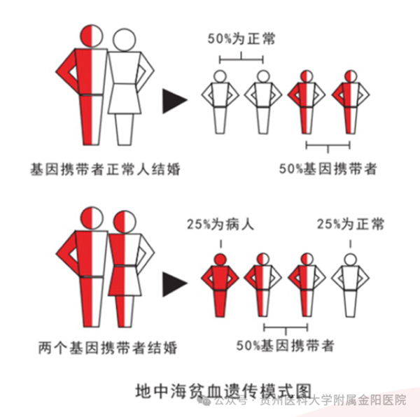 微信图片_20240812110959.jpg 微信图片_20240812110959.jpg