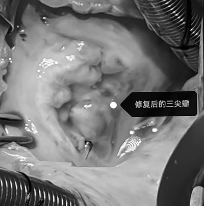 微信图片_20240812111044.jpg 微信图片_20240812111044.jpg