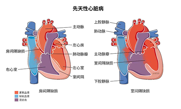 微信图片_20240812111046.jpg 微信图片_20240812111046.jpg