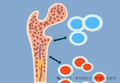 微信图片_20240813085940.jpg