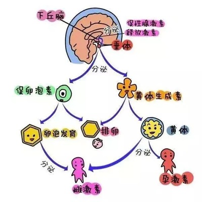 微信图片_20240813085947.jpg
