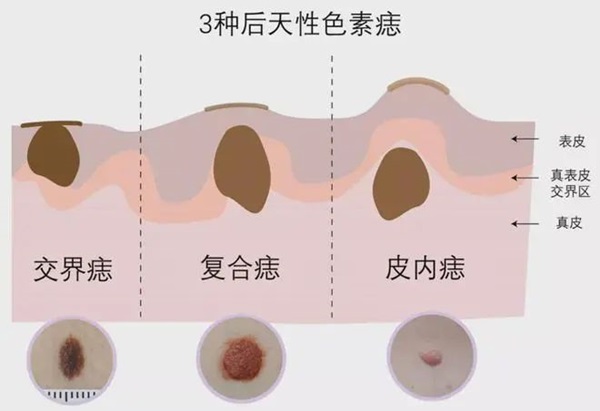微信图片_20240814081421.jpg