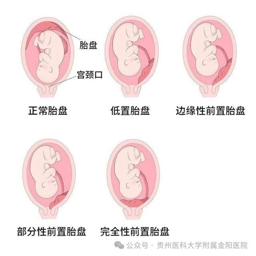 微信图片_20240903090820.jpg 微信图片_20240903090820.jpg