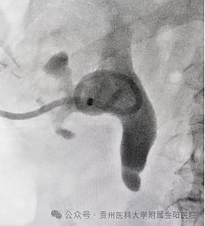 微信图片_20240911092126.jpg 微信图片_20240911092126.jpg