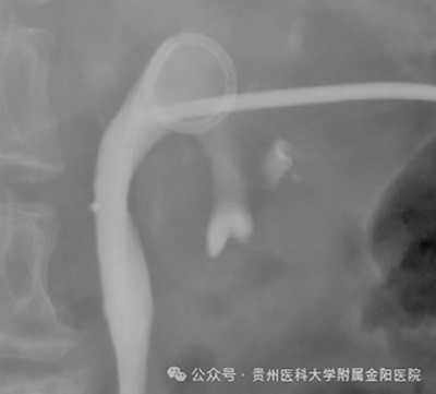 微信图片_20240911092128.jpg 微信图片_20240911092128.jpg