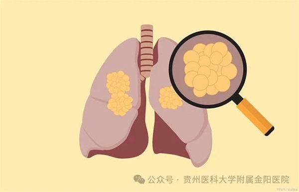微信图片_20241010094354.jpg 微信图片_20241010094354.jpg