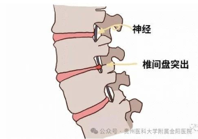 微信图片_20241011081216(1).jpg