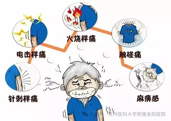 微信图片_20241014072001.jpg