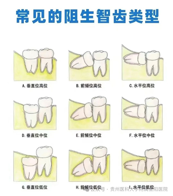 微信图片_20241016173711.jpg