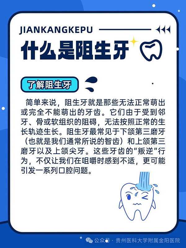 微信图片_20241016173707.jpg