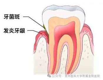 微信图片_20241020195036.jpg 微信图片_20241020195036.jpg