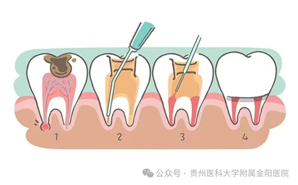 微信图片_20241022075741.jpg 微信图片_20241022075741.jpg