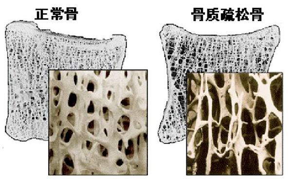 微信图片_20241025083935.jpg 微信图片_20241025083935.jpg