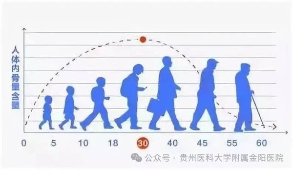 微信图片_20241108174313.jpg 微信图片_20241108174313.jpg
