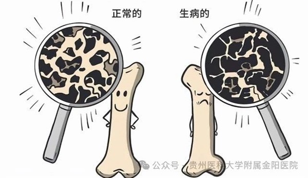微信图片_20241108174315.jpg 微信图片_20241108174315.jpg