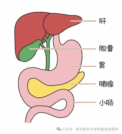 微信图片_20241121091813.jpg 微信图片_20241121091813.jpg