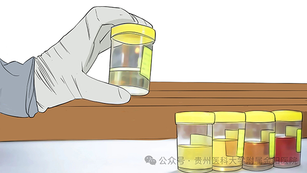 微信图片_20241203090018.jpg