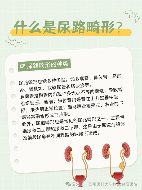 微信图片_20241204072042.jpg