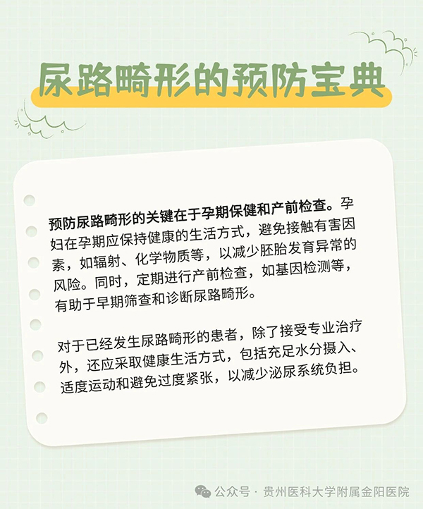 微信图片_20241204072045.jpg