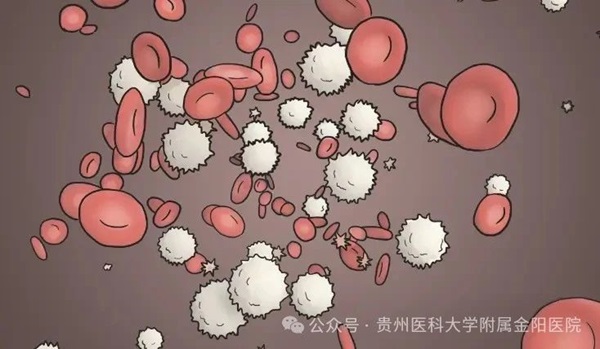 微信图片_20241226075515.jpg