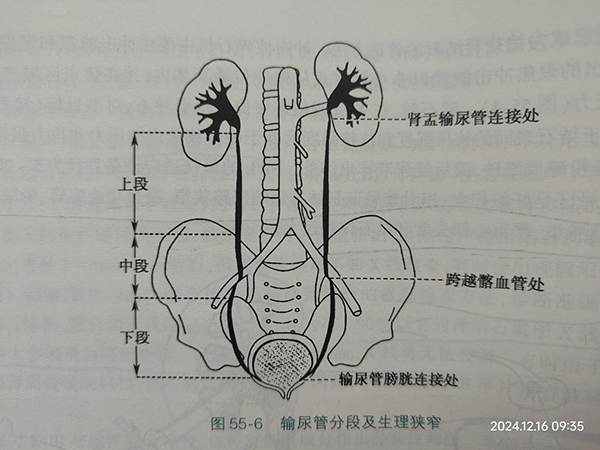微信图片_20250104225042.jpg