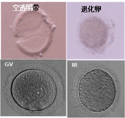 微信图片_20250110081931.jpg 微信图片_20250110081931.jpg