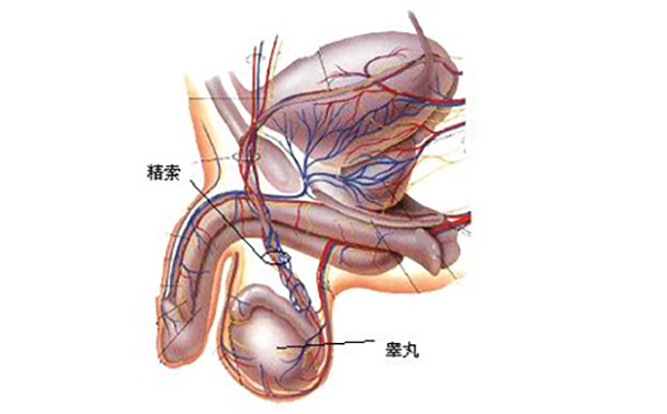 微信图片_20250115081736.jpg 微信图片_20250115081736.jpg