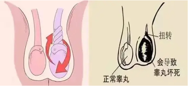 微信图片_20250115081738.jpg 微信图片_20250115081738.jpg