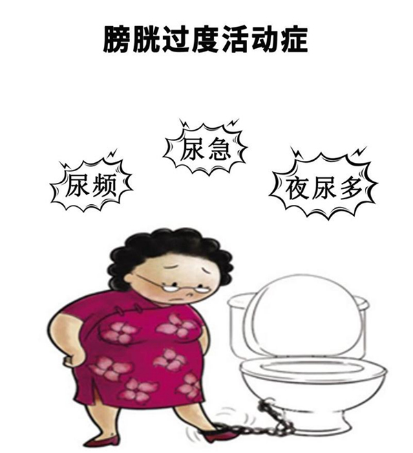 微信图片_20250206194120.jpg 微信图片_20250206194120.jpg