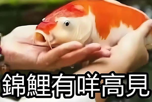 17.jpg 17.jpg