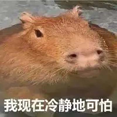 3.jpg 3.jpg