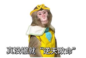 2.jpg 2.jpg