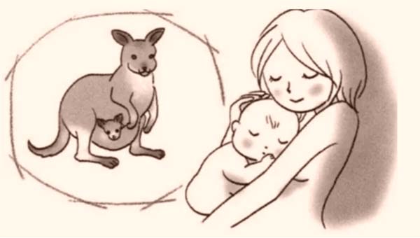 4.jpg 4.jpg