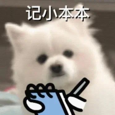6.jpg 6.jpg