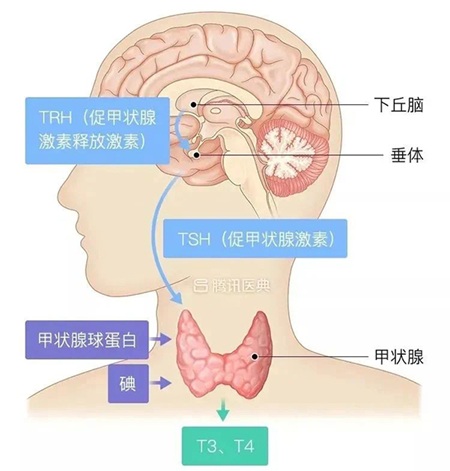 微信图片_2025-08-06_142709_405.jpg 微信图片_2025-08-06_142709_405.jpg