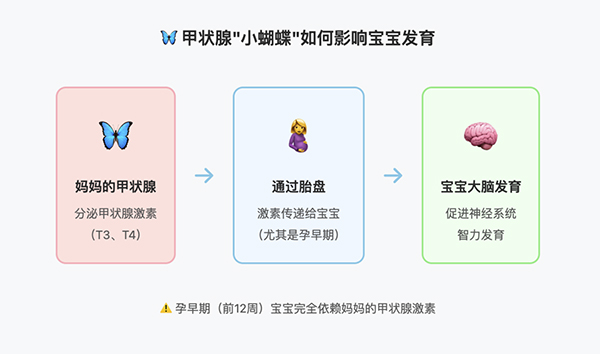 微信图片_2025-08-06_142733_020.jpg 微信图片_2025-08-06_142733_020.jpg