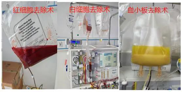 微信图片_2025-08-11_091955_999.jpg 微信图片_2025-08-11_091955_999.jpg