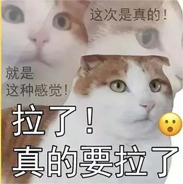 微信图片_20250908093446.jpg 微信图片_20250908093446.jpg