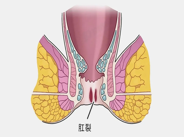 微信图片_20251104173751.jpg 微信图片_20251104173751.jpg