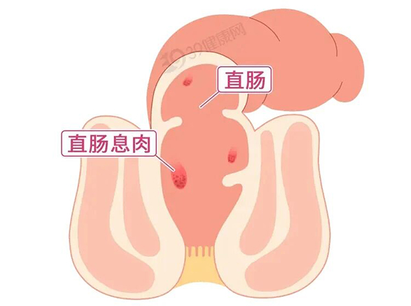 微信图片_20251104173757.jpg 微信图片_20251104173757.jpg