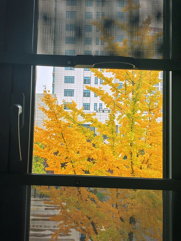 DM_20251118094438_005.jpg