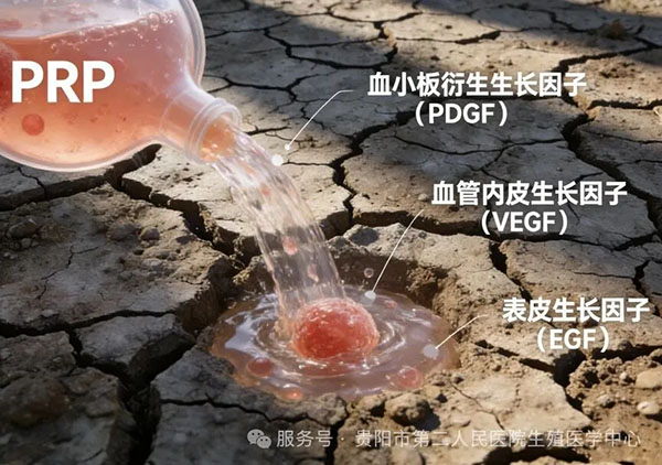 微信图片_20260305101955.jpg 微信图片_20260305101955.jpg